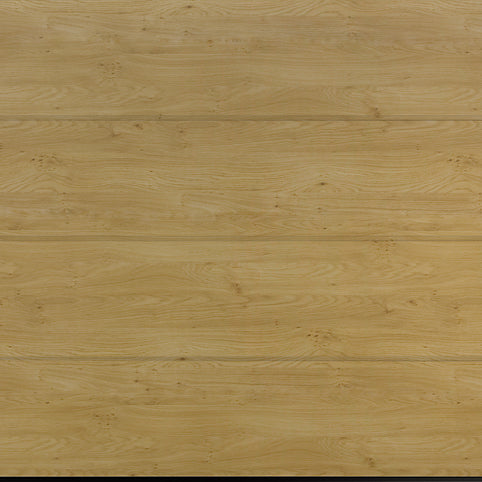 Wisniowski L-Ribbed Smoothgrain Sectional Door